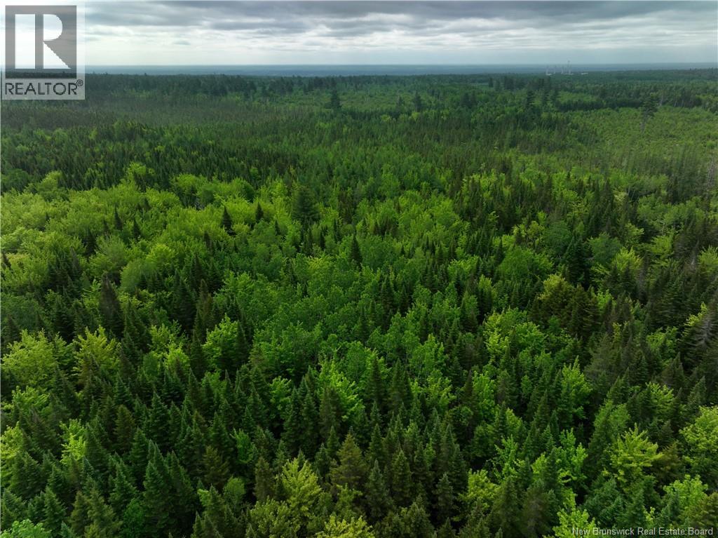 Oldfield Road, Bartibog, New Brunswick  E1V 6L4 - Photo 5 - NB136276
