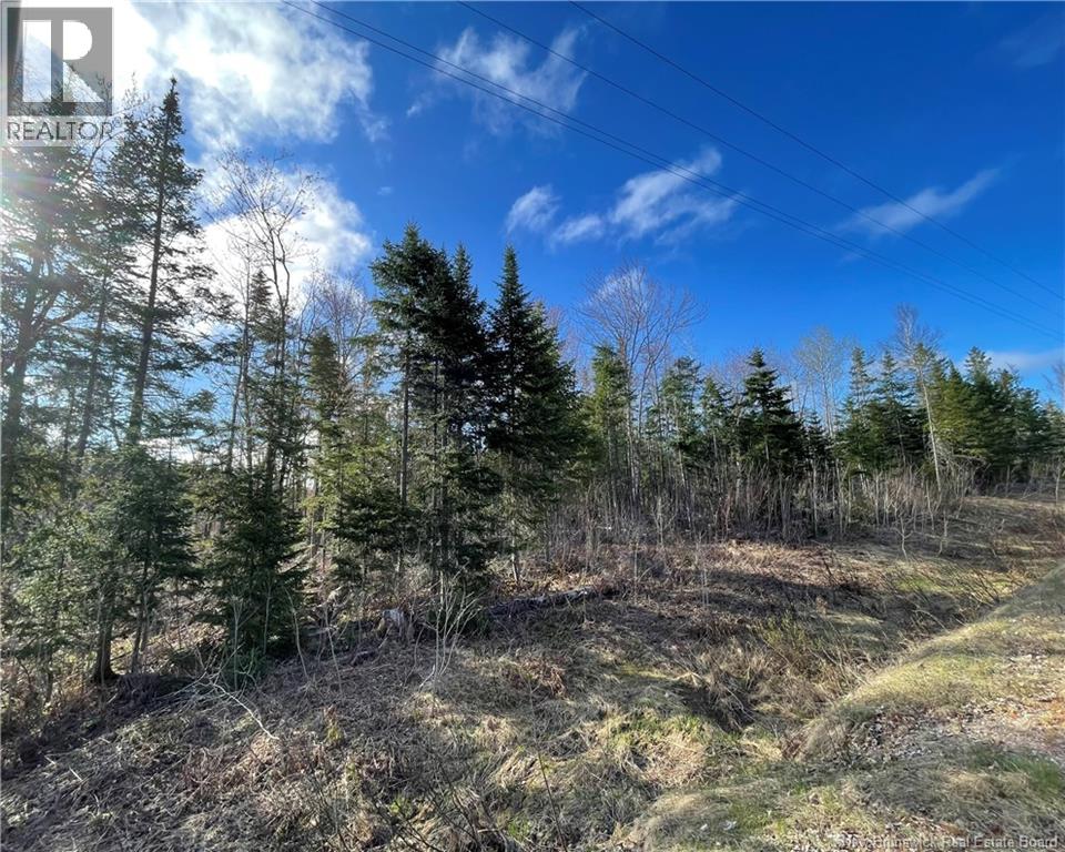 Oldfield Road, Bartibog, New Brunswick  E1V 6L4 - Photo 7 - NB136276