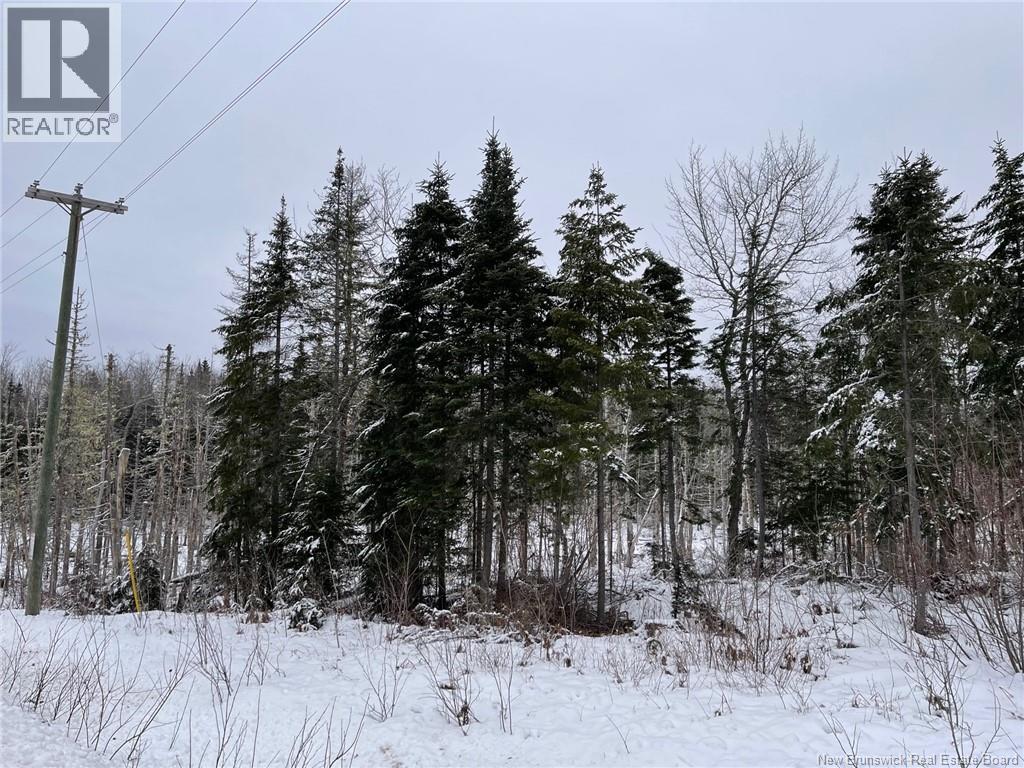 Oldfield Road, Bartibog, New Brunswick  E1V 6L4 - Photo 9 - NB136276