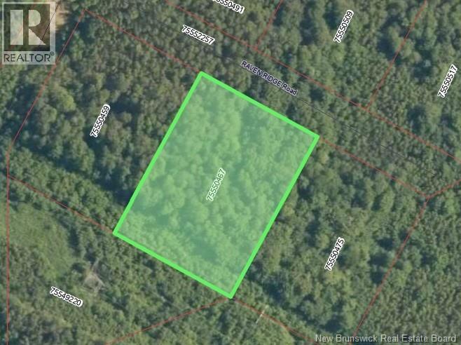 Lot Raven Ridge Road, Central Hainesville, New Brunswick E6E 1E3 - Photo 3 - NB136245