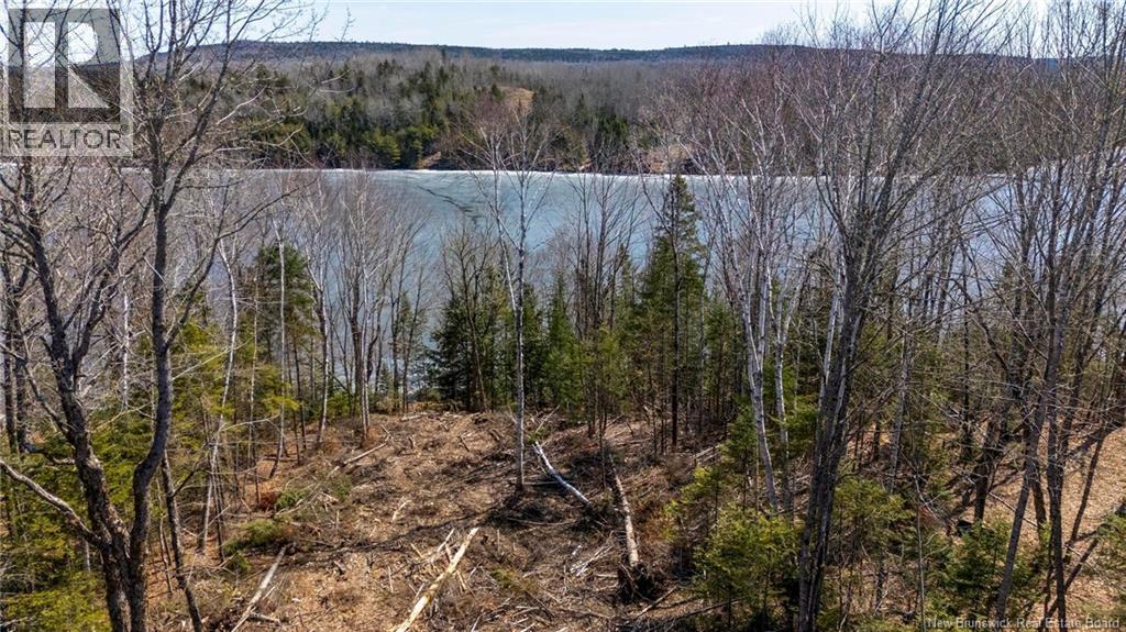 92-6 Carl Avenue, Longs Creek, New Brunswick  E6K 2W9 - Photo 15 - NB136581