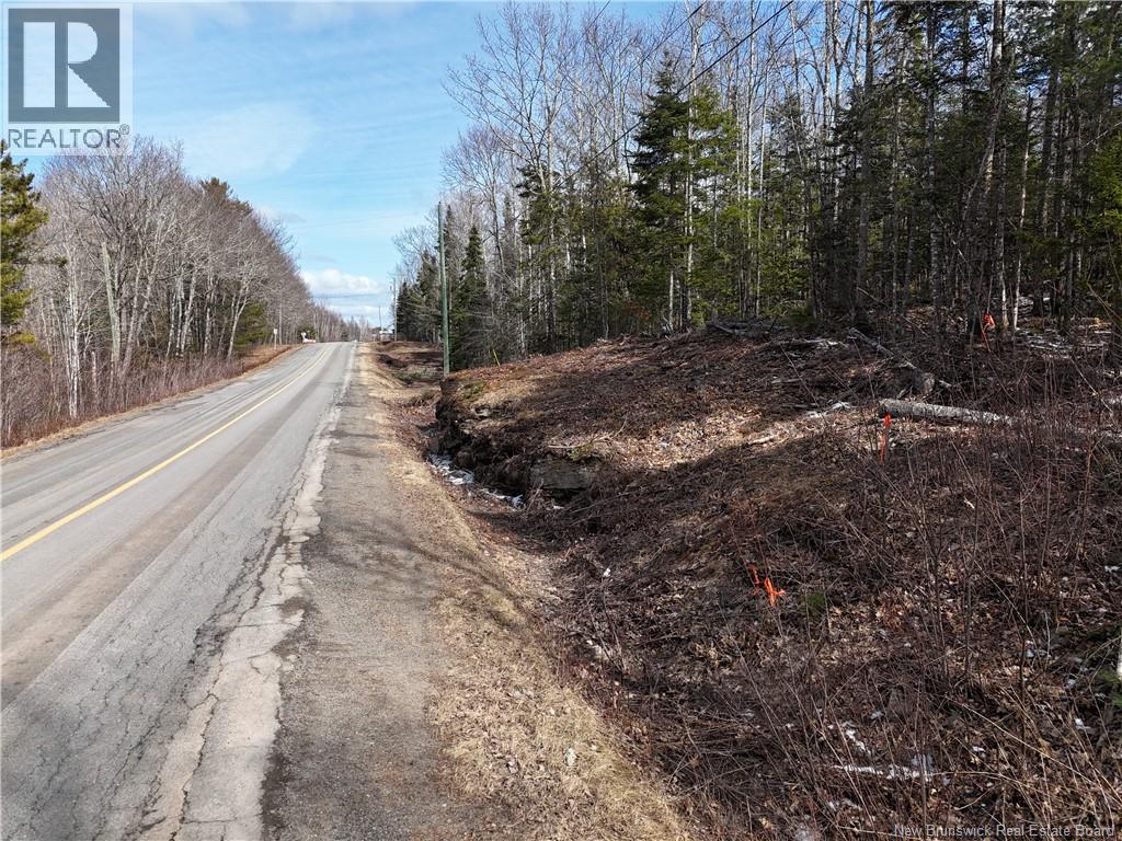 Lot 90-2 Scenic Narrows Boulevard, Cambridge-Narrows, New Brunswick E4C 2N3 - Photo 12 - NB136529