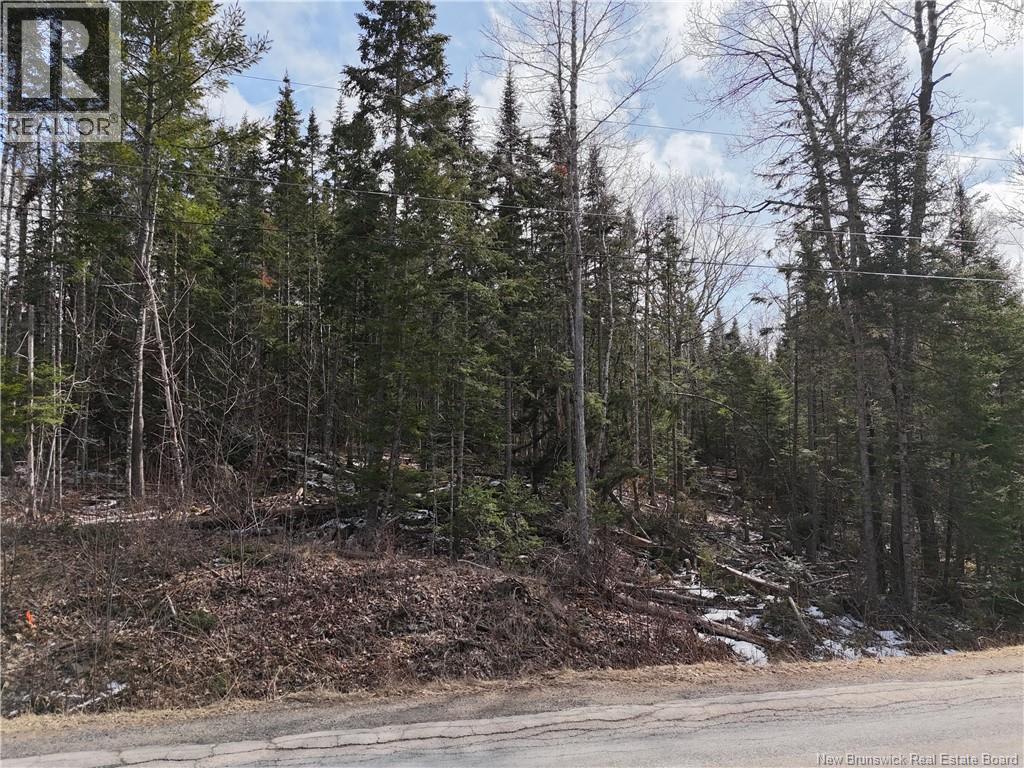 Lot 90-2 Scenic Narrows Boulevard, Cambridge-Narrows, New Brunswick E4C 2N3 - Photo 14 - NB136529