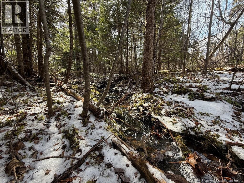 Lot 90-2 Scenic Narrows Boulevard, Cambridge-Narrows, New Brunswick E4C 2N3 - Photo 9 - NB136529