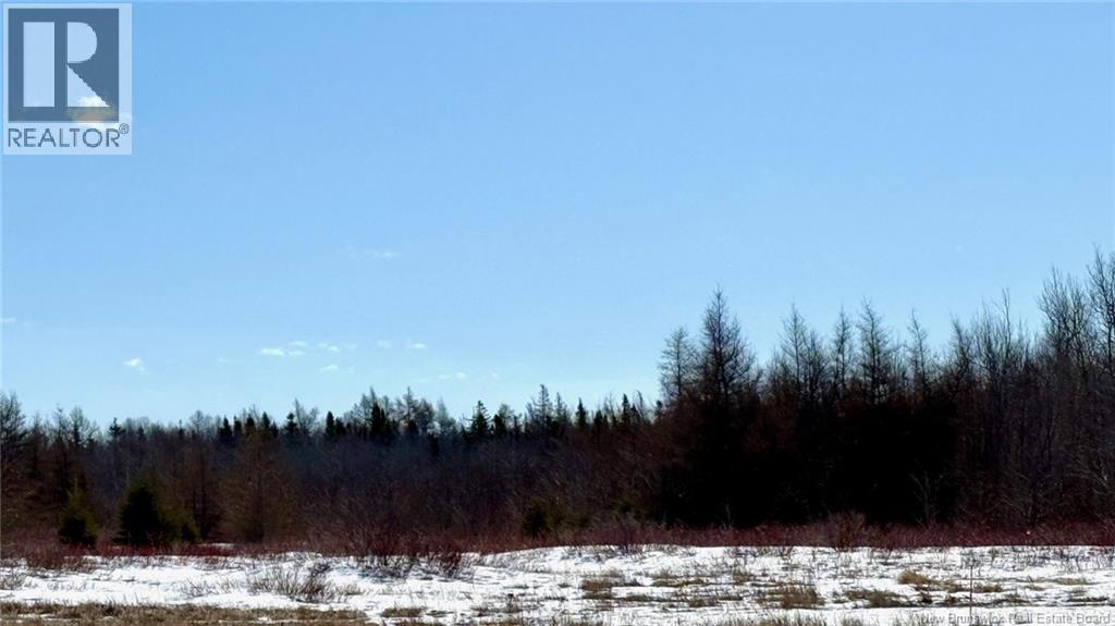 1822 Route 310, Coteau Road, New Brunswick  E8T 3K9 - Photo 9 - NB136540