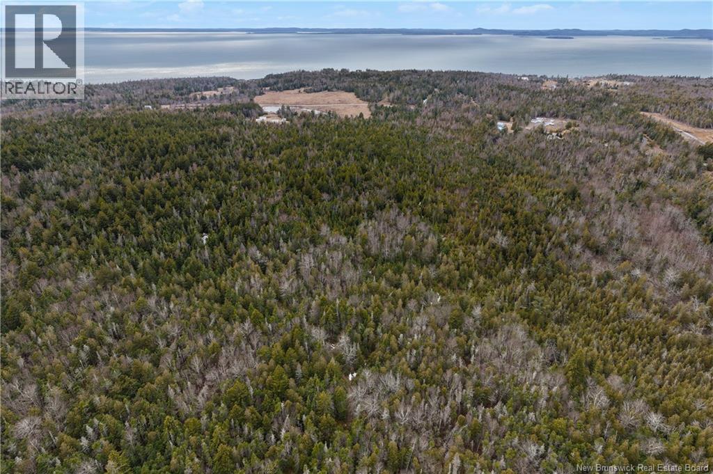 Lot Mascarene Road, Mascarene, New Brunswick  E5C 2R9 - Photo 13 - NB136557
