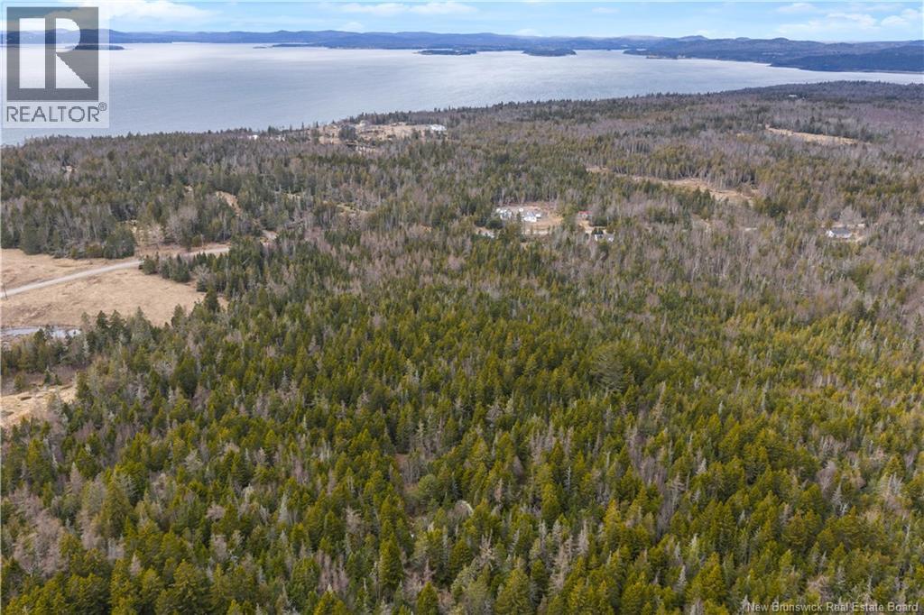 Lot Mascarene Road, Mascarene, New Brunswick  E5C 2R9 - Photo 14 - NB136557