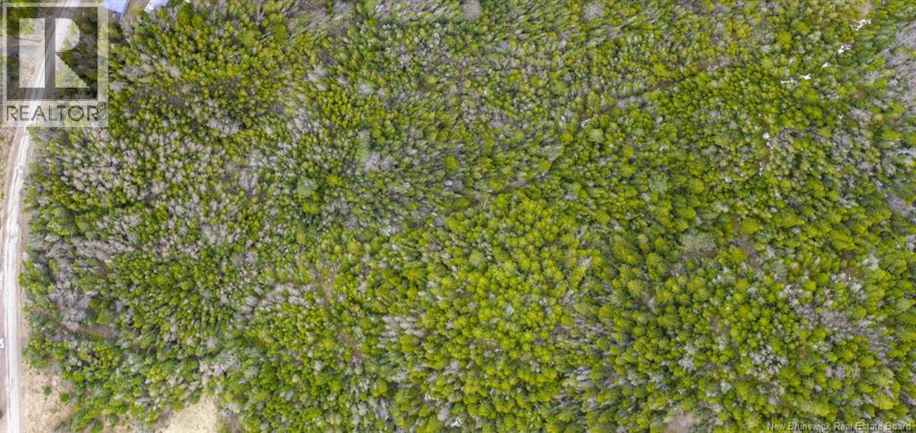 Lot Mascarene Road, Mascarene, New Brunswick  E5C 2R9 - Photo 7 - NB136557