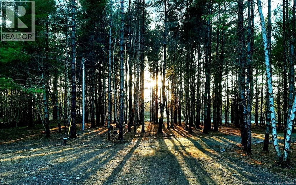 89 Drummond Road, Gagetown, New Brunswick  E5M 2X2 - Photo 37 - NB135736