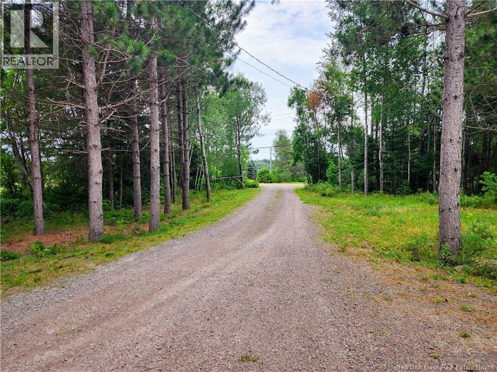 106 Babineau Road, Shediac Bridge, New Brunswick  E4R 3T8 - Photo 3 - NB136487