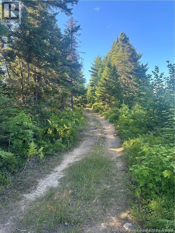0 Parker Rd, Parker Road, New Brunswick  E1V 5E6 - Photo 2 - NB136662