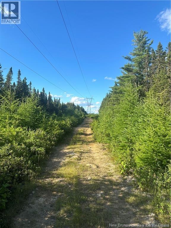 0 Parker Rd, Parker Road, New Brunswick  E1V 5E6 - Photo 3 - NB136662