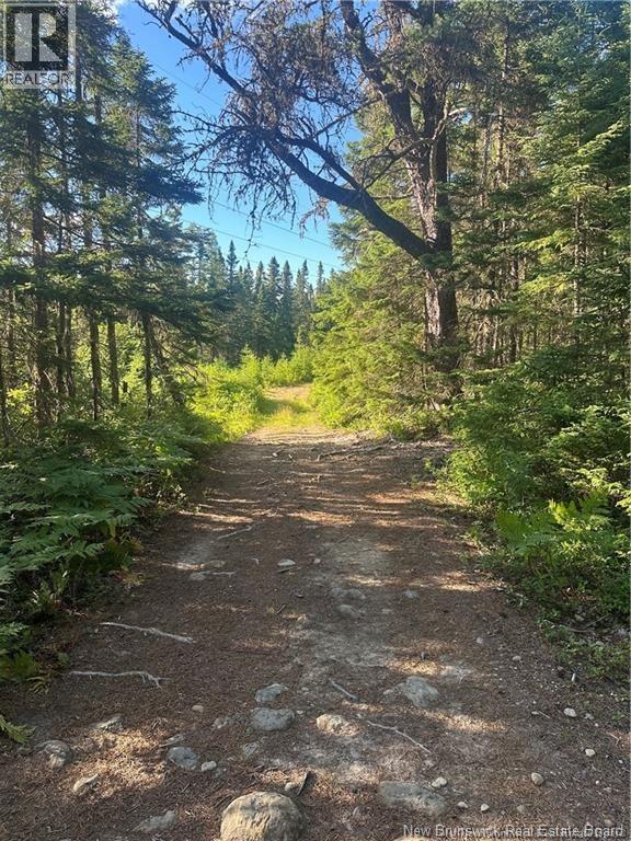 0 Parker Rd, Parker Road, New Brunswick  E1V 5E6 - Photo 4 - NB136662