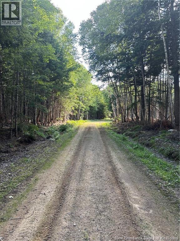 0 Parker Rd, Parker Road, New Brunswick  E1V 5E6 - Photo 6 - NB136662