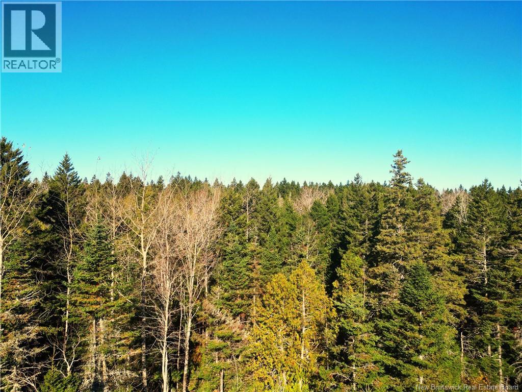 Lot 85-18 Harbour Heights Drive, Welshpool, New Brunswick E5E 1H9 - Photo 2 - NB136676