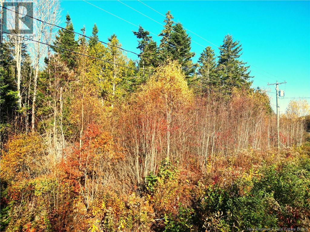 Lot 85-18 Harbour Heights Drive, Welshpool, New Brunswick E5E 1H9 - Photo 3 - NB136676