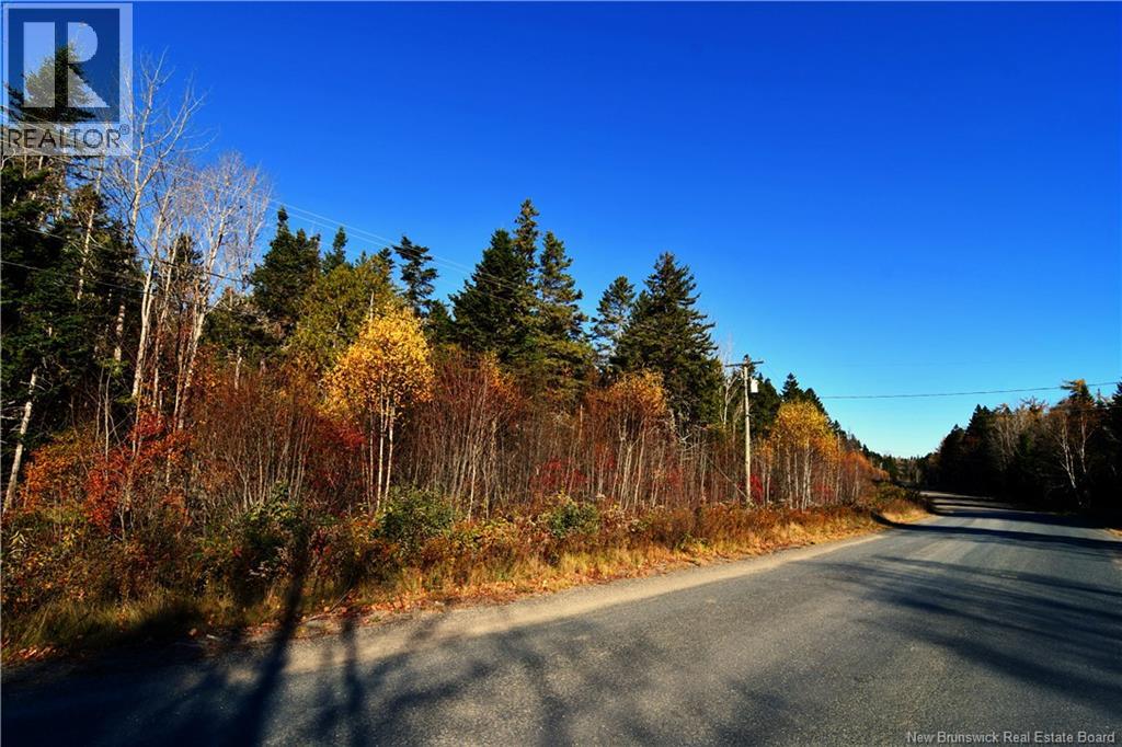 Lot 85-18 Harbour Heights Drive, Welshpool, New Brunswick E5E 1H9 - Photo 7 - NB136676