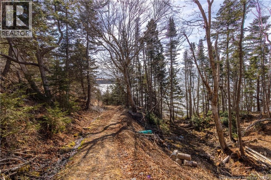 24 Loughery Lane, Black River, New Brunswick  E2S 1Z6 - Photo 27 - NB136404