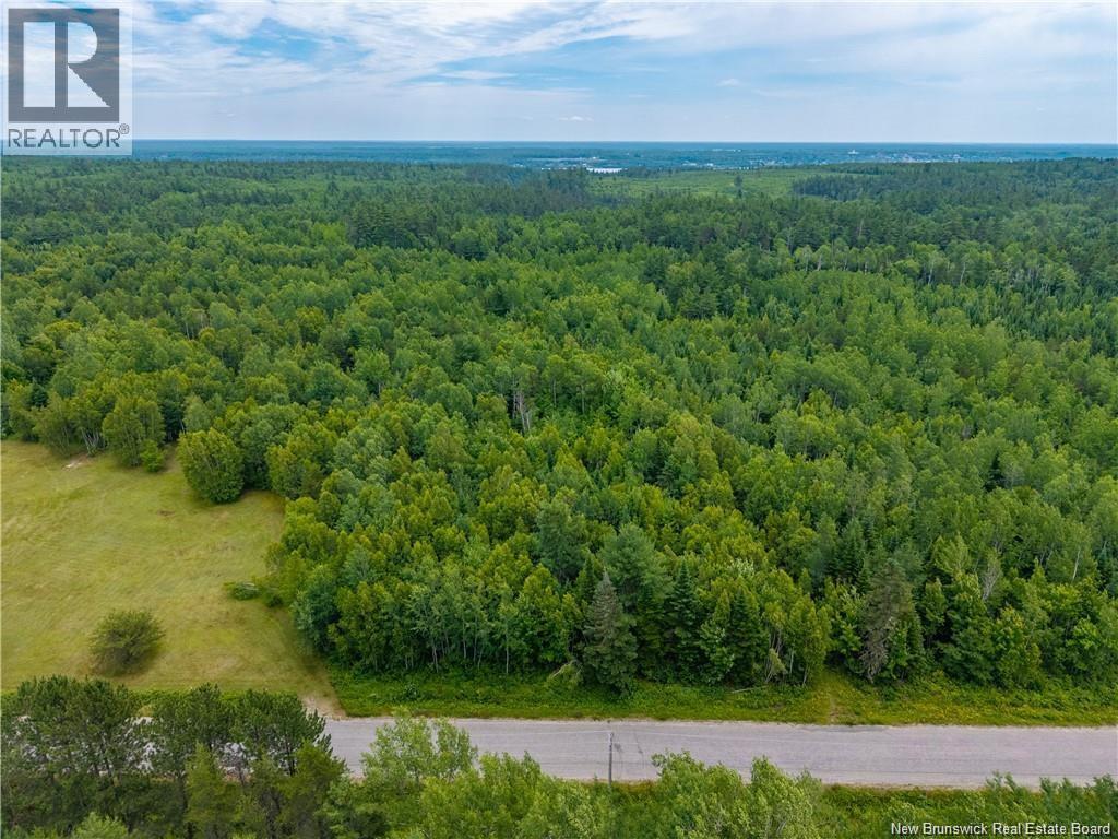Lloyd Road, Miramichi, New Brunswick E1V 6L5 - Photo 3 - NB136636