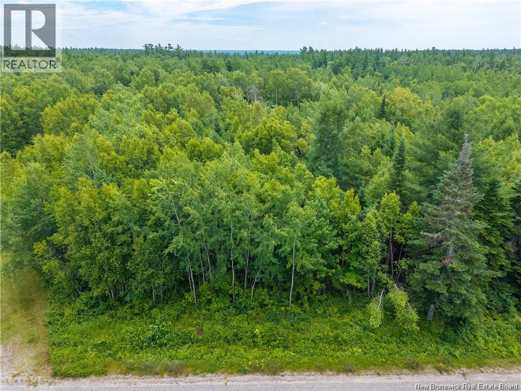 Lloyd Road, Miramichi, New Brunswick E1V 6L5 - Photo 5 - NB136636
