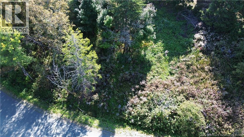 Vacant Land Cote Bleue Drive, Bathurst, New Brunswick  E2A 4C9 - Photo 2 - NB136704