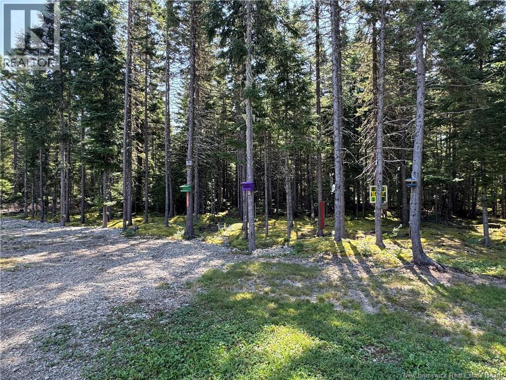 11 Burt Cliff Rd, Juniper, New Brunswick  E7L 1J1 - Photo 46 - NB136723