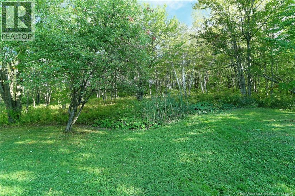 10 Newcastle Centre Rd, Newcastle Creek, New Brunswick  E4B 2L1 - Photo 42 - NB136741