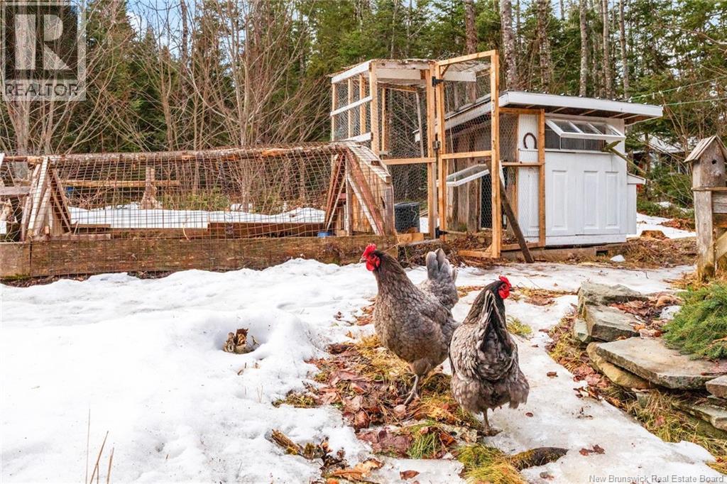 225 Cumberland Point Road, Cumberland Bay, New Brunswick  E4A 3J1 - Photo 20 - NB136105