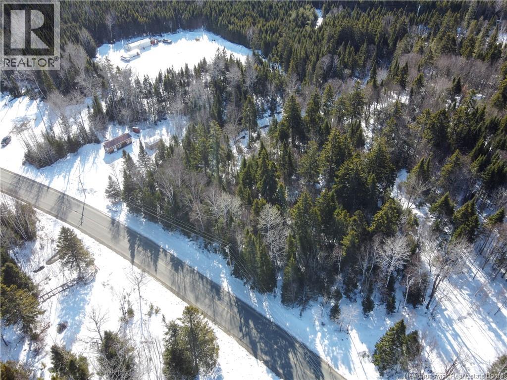 Lot 107 Route, Juniper, New Brunswick  E7L 1E7 - Photo 10 - NB136734