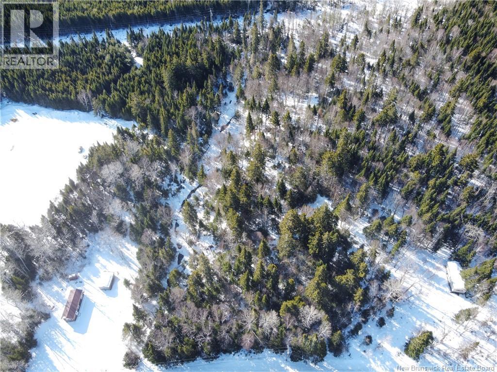 Lot 107 Route, Juniper, New Brunswick  E7L 1E7 - Photo 3 - NB136734