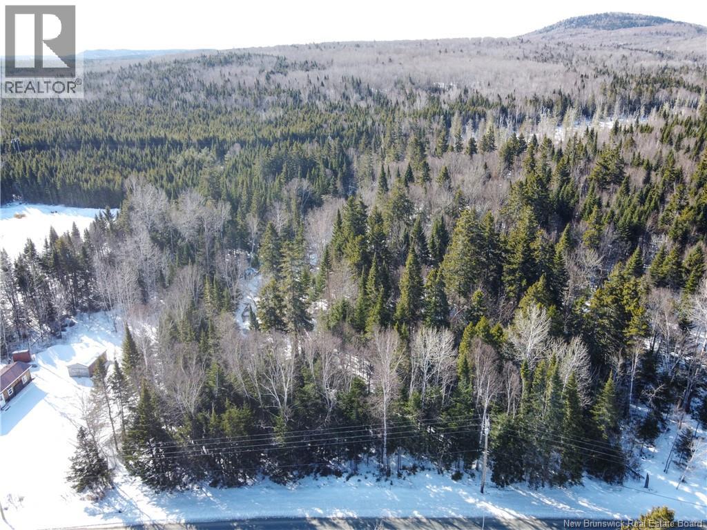Lot 107 Route, Juniper, New Brunswick  E7L 1E7 - Photo 4 - NB136734