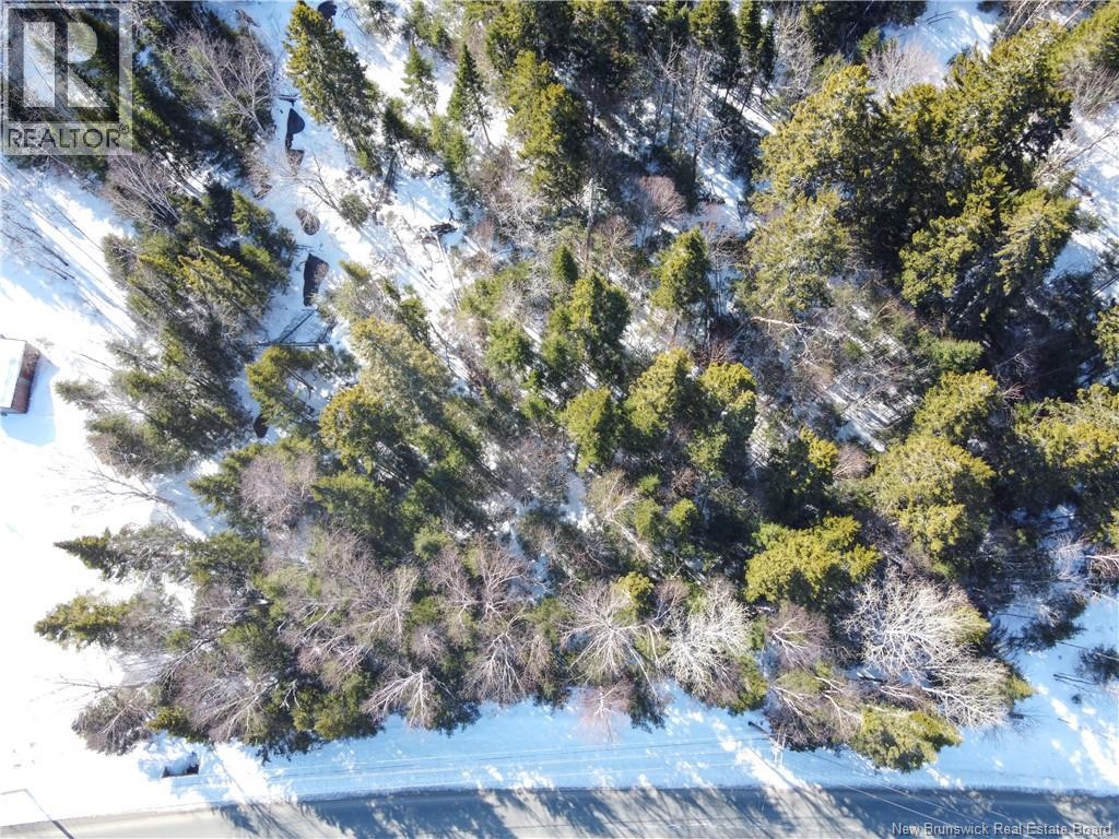 Lot 107 Route, Juniper, New Brunswick  E7L 1E7 - Photo 5 - NB136734