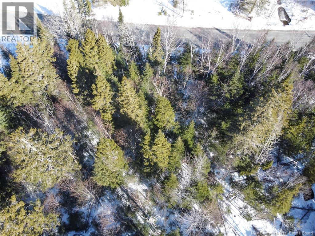 Lot 107 Route, Juniper, New Brunswick  E7L 1E7 - Photo 6 - NB136734