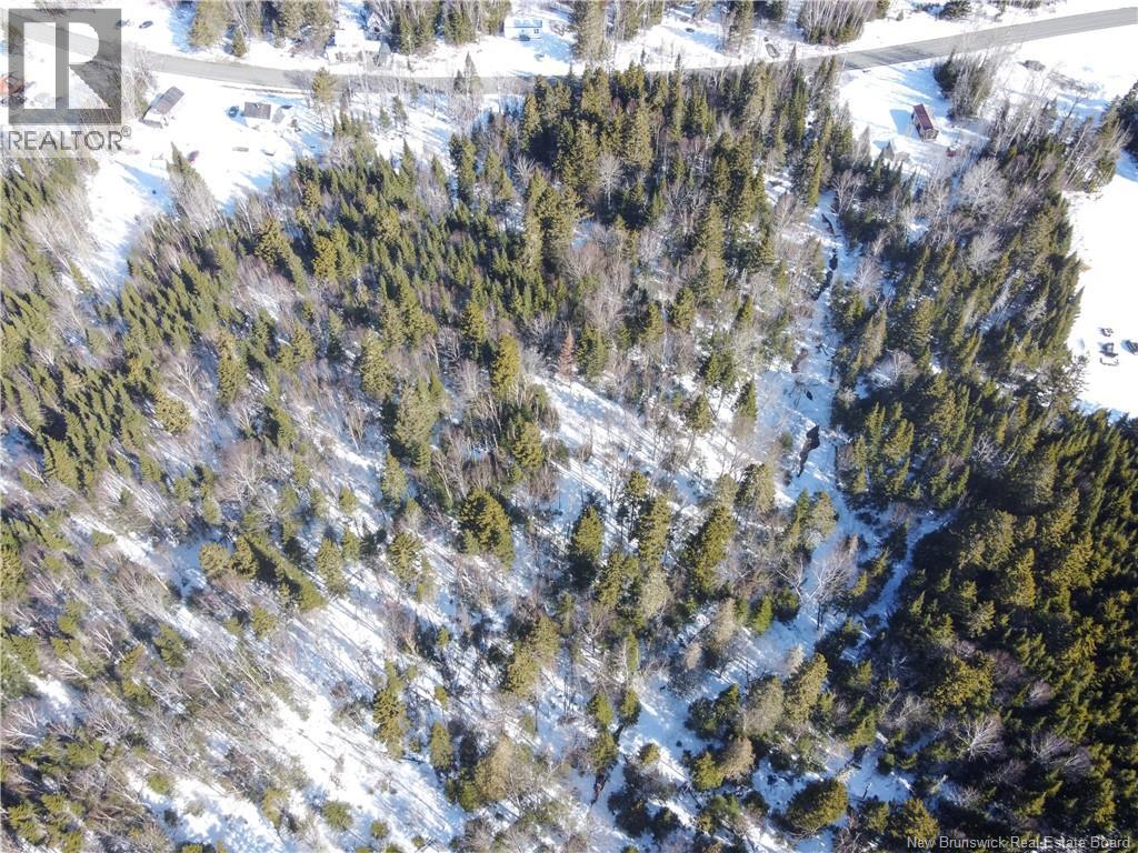 Lot 107 Route, Juniper, New Brunswick  E7L 1E7 - Photo 8 - NB136734
