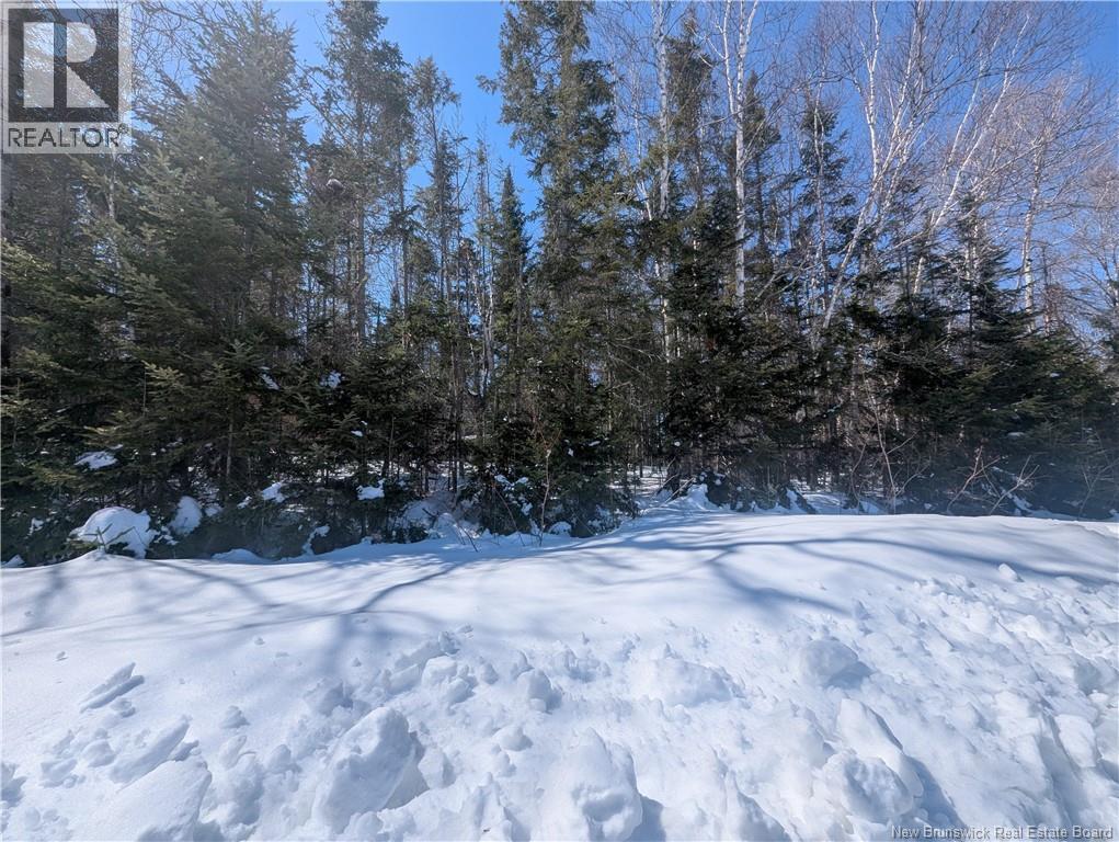 1742SQM Apple Street, South Tetagouche, New Brunswick