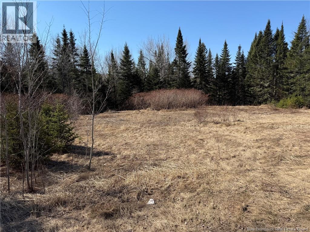 Route 875, Searsville, New Brunswick