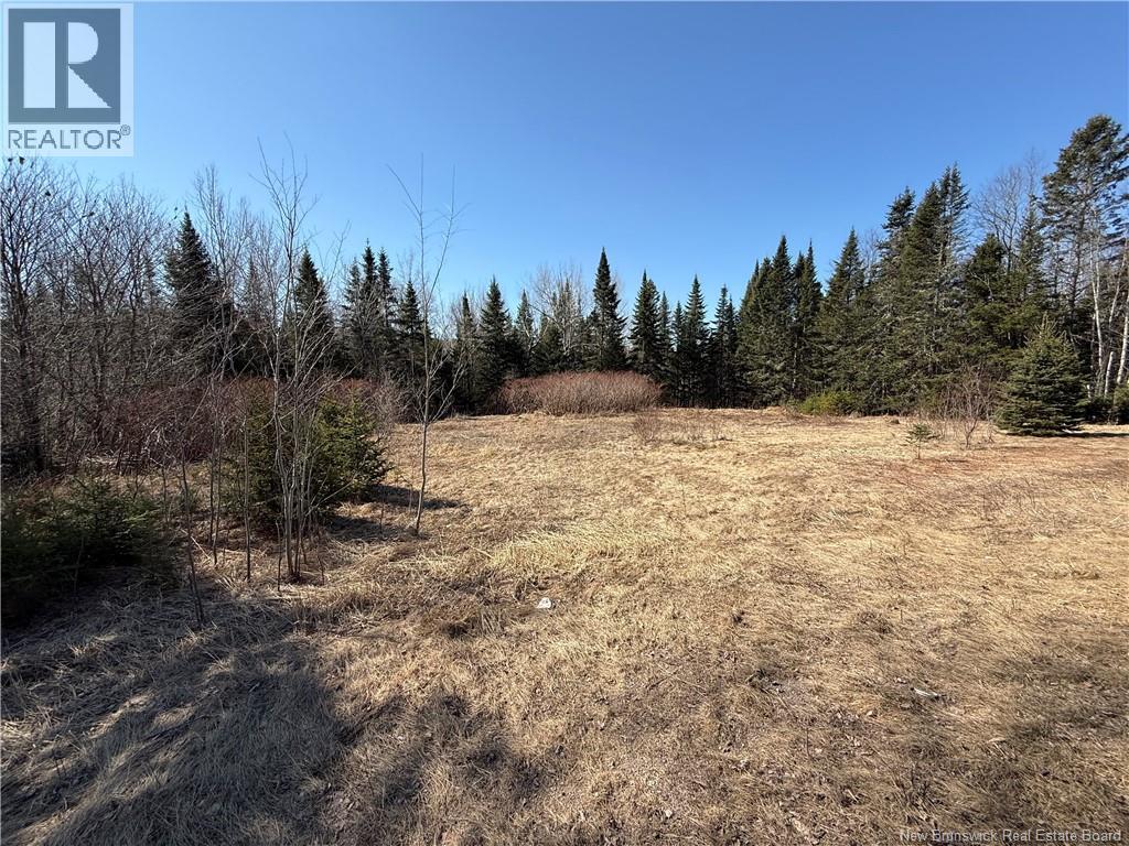 Route 875, Searsville, New Brunswick E5P 3W5 - Photo 2 - NB136691