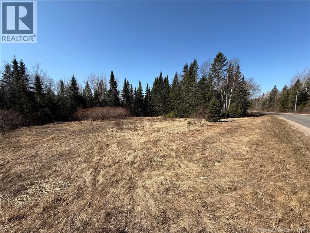 Route 875, Searsville, New Brunswick E5P 3W5 - Photo 3 - NB136691