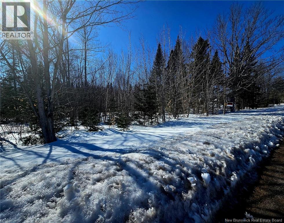 1.5 Acres Ch Savoie, Notre-Dame-Des-Érables, New Brunswick  E8R 1W9 - Photo 5 - NB136799