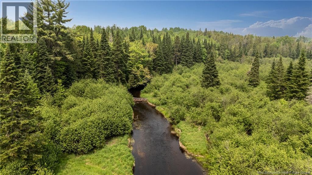 58 Buba's Lane, Cains River, New Brunswick  E9B 0A2 - Photo 8 - NB136775