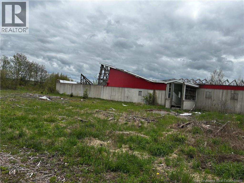 Old Lewiston Road, Havelock, New Brunswick  E4Z 5H7 - Photo 3 - NB136857