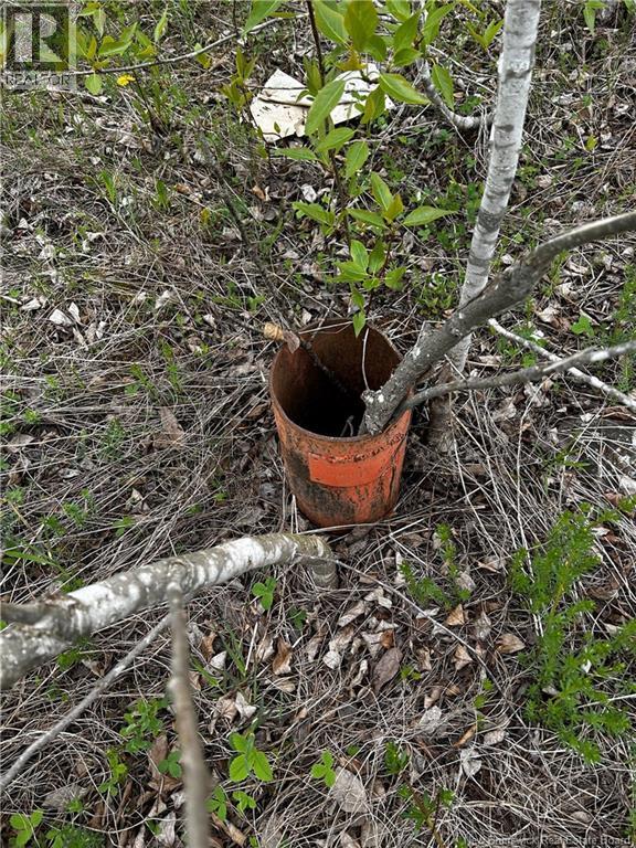 Old Lewiston Road, Havelock, New Brunswick  E4Z 5H7 - Photo 4 - NB136857