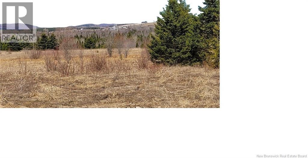00 Knowlesville Road, Knowlesville, New Brunswick E4L 4P9 - Photo 6 - NB136865