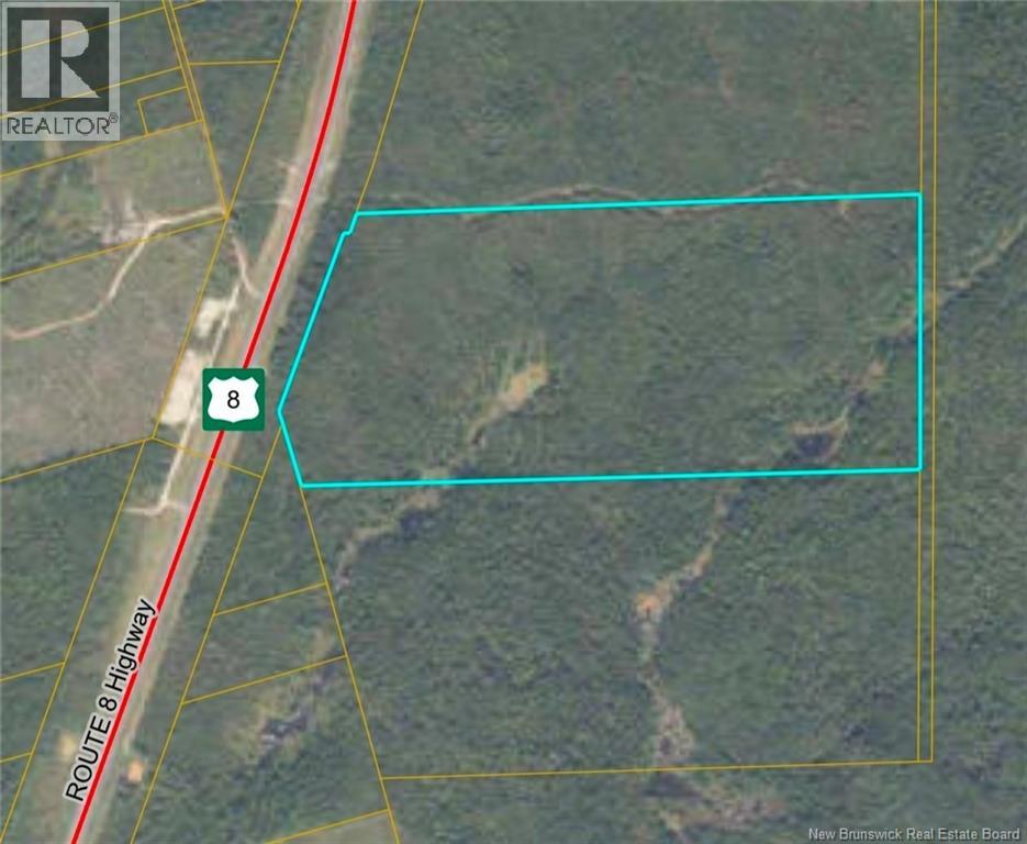 0 Route 8, Nashwaak Village, New Brunswick E6C 1M6 - Photo 3 - NB136864
