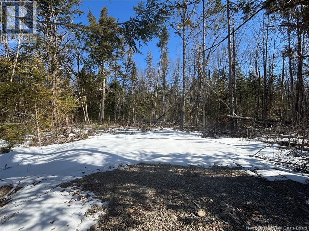 Lot Route 550, Hartford, New Brunswick  E7M 5M2 - Photo 2 - NB136824