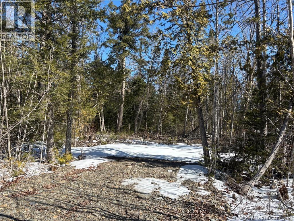Lot Route 550, Hartford, New Brunswick  E7M 5M2 - Photo 5 - NB136824