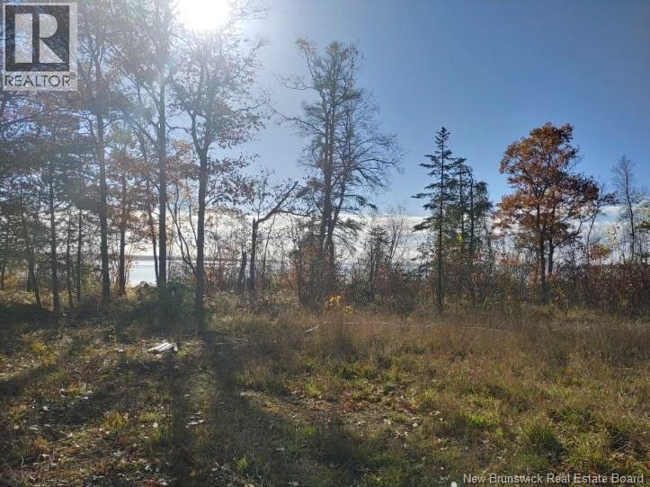 Sand Bar Lane, Cumberland Bay, New Brunswick  E4A 2Y8 - Photo 4 - NB137018