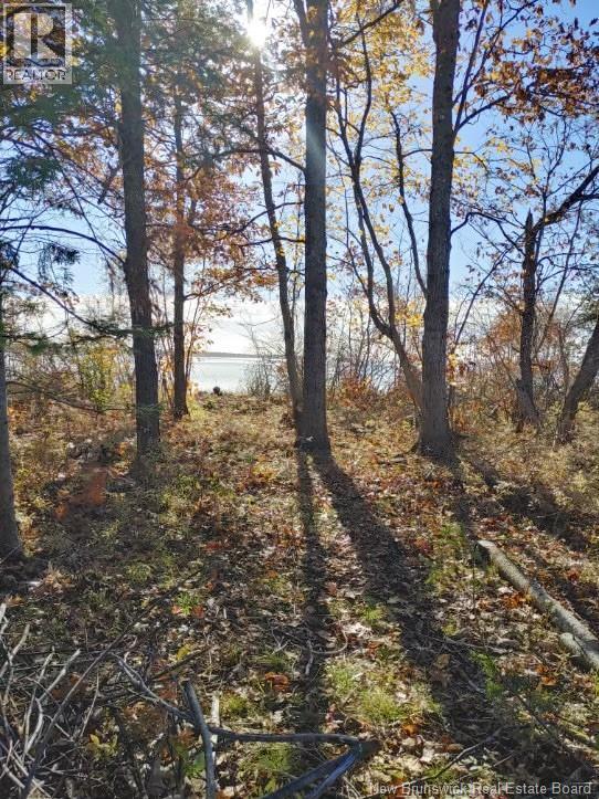 Sand Bar Lane, Cumberland Bay, New Brunswick  E4A 2Y8 - Photo 5 - NB137018