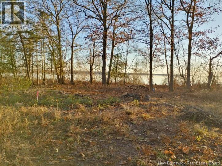 Sand Bar Lane, Cumberland Bay, New Brunswick  E4A 2Y8 - Photo 6 - NB137018