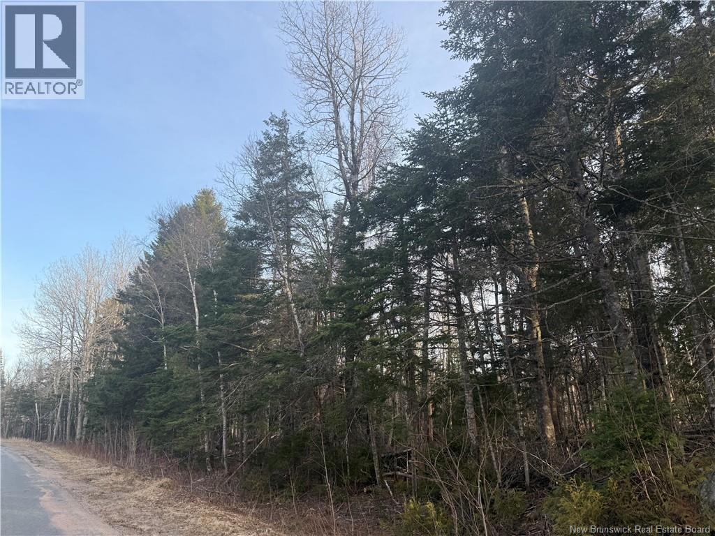 Mckay Loop Road, Pennfield, New Brunswick  E5H 2L2 - Photo 1 - NB136960